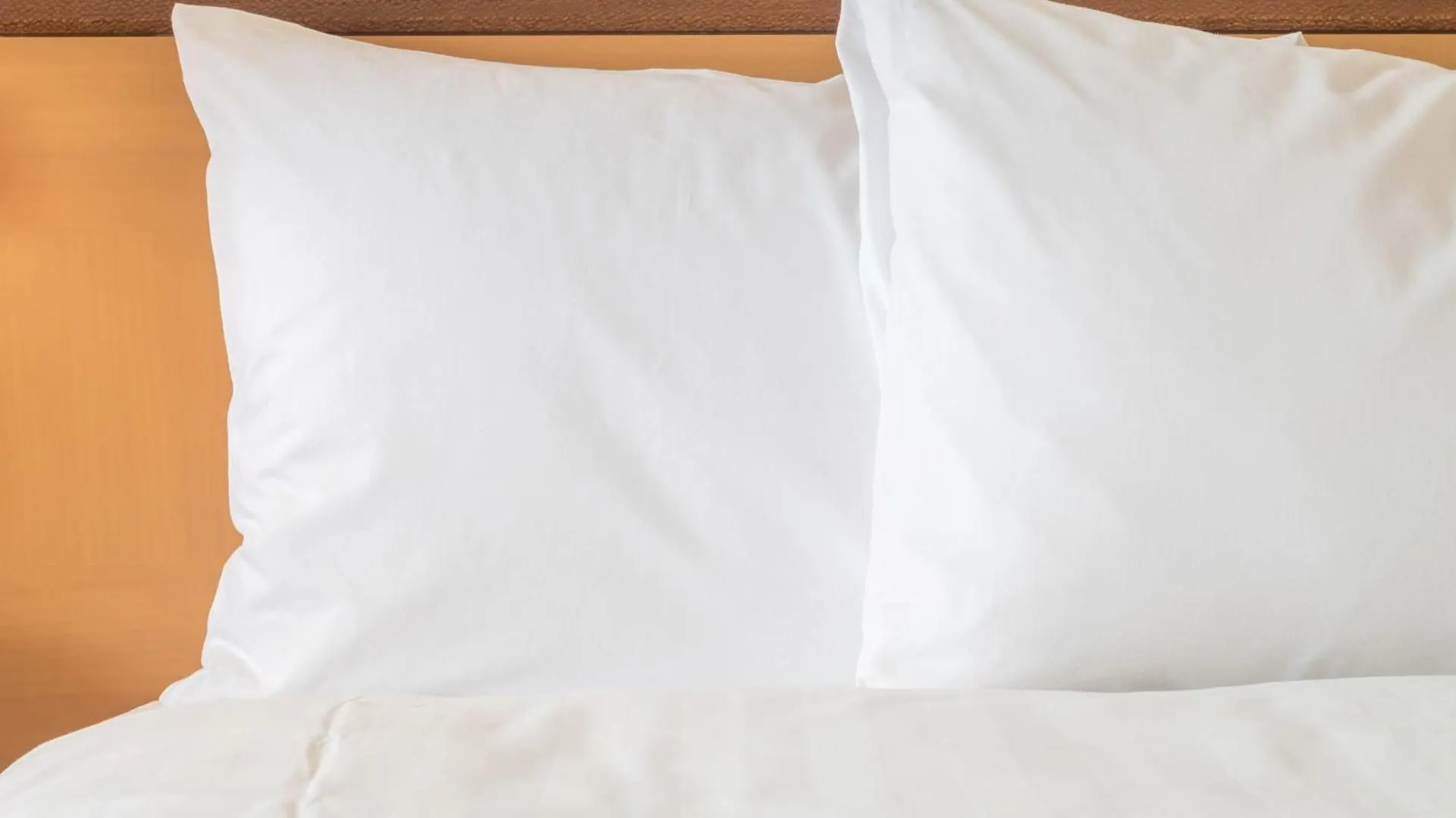 Crowne Plaza Maastricht By Ihg Hotel